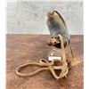 Image 4 : Custom Made Frontier Powder Horn