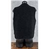 Image 2 : Woolrich Vest