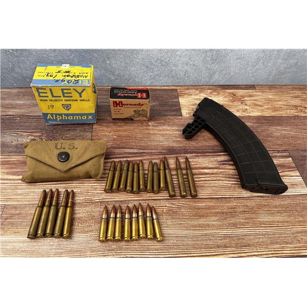 Collection of Ammo and Magazine