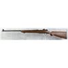 Image 1 : Springfield Armory M1922 MII .22 LR Training Rifle