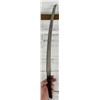 Image 8 : WW2 Japanese Captured Samurai Sword