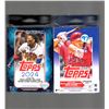 Image 1 : 2023 Topps Update Series Baseball Hanger Box & 2024 Topps Series 1 Baseball Hanger Box