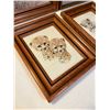 Image 2 : Animal Prints