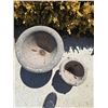 Image 2 : 2 Concrete Planters