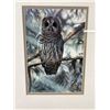 Image 2 : Framed & Signed E.Sorenson Eagle Photo Approx.14"x11" & Peter Potapoff-In The Cedars, Barred Owl Pri
