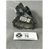 Image 3 : 8" Orthoceras Fossil Specimen MSRP $690.00