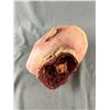 Image 2 : Gruesome Realistic Movie Prop