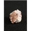 Image 2 : Zebra Jasper Stone MSRP $289.00