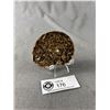 Image 1 : Ammonite Fossil MSRP $600.00