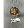 Image 2 : Ammonite Fossil MSRP $600.00