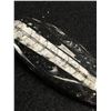 Image 2 : Orthoceras Fossil Specimen MSRP $200.00
