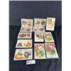 Image 1 : 12 Vintage Thanksgiving Post Cards In Protective Sleeves