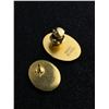 Image 3 : 2 Pins, I.S.R.R.T Silver BLM, I.S.R.R.T Pin in Box Both
