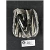 Image 1 : 6" Orthoceras Fossil Specimen MSRP $480.00