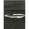 Image 2 : 8" Orthoceras Fossil Specimen MSRP $480.00