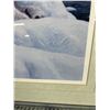 Image 2 : Framed & Matted Polar Bear Print. Approx. 25" x 21"