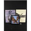 Image 1 : 3 Framed Pictures - 13" x 13" Layered Eagle & 20" H Seagull & Owl Picture