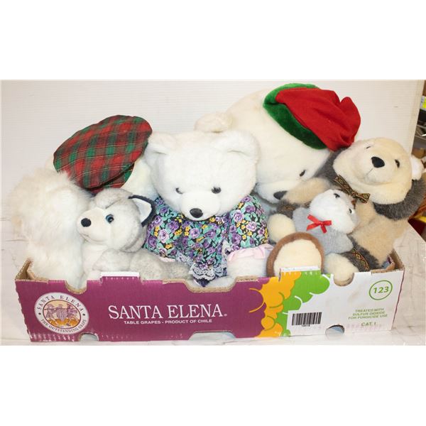 STUFFED ANIMAL COLLECTION