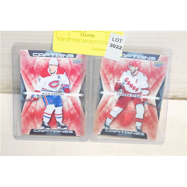 LOT OF 2 3D CAPTAINS C-13 & C-4