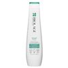 Image 1 : NEW MATRIX BIOLAGE SCALPSYNC ANTI-DANDRUFF SHAMPOO