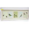 Image 1 : SHADOWBOX BIRD MAP ARTWORK