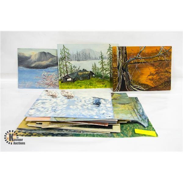 LOT OF ESTATE PICTURES