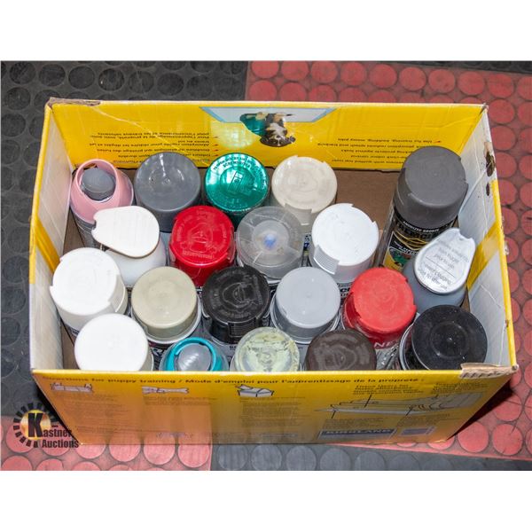 BOX OF SPRAY PAINT *NO SHIPPING*