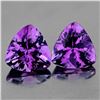 Image 1 : Natural Purple Amethyst Pair  {Flawless-VVS}