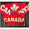 Image 1 : Happy Speedo Canada Day Basket