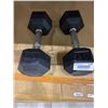 Image 1 : Lot of 2 Dumbells 20lbs Each
