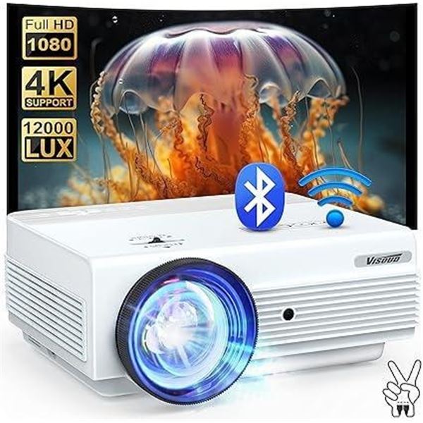 Multimedia Projector with WiFi and Bluetooth,16000L Native 1080P Outdoor Video Projector with 120'' 