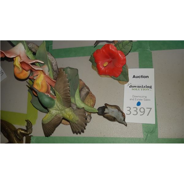 Andrea humming bird A