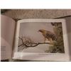 Image 11 : Robert Bateman Grey Squirrel  and Books A