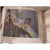 Image 21 : Robert Bateman Grey Squirrel  and Books A