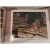 Image 9 : Robert Bateman Grey Squirrel  and Books A