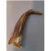 Image 3 : Carved Horn Animal Figurine A