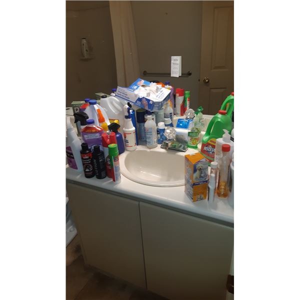 Household Cleaners A