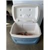Image 2 : ROLLING IGLOO COOLER - NO HANDLE