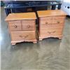 Image 1 : PAIR OF MATCHING NIGHTSTANDS