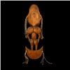 Image 2 : OCEANIC ARTS #406 NEW GUINEA (SEPIK) SKULL HOOK.
