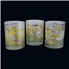 Image 1 : SET OF THREE (3) KEVIN & JODY DISNEYLAND 55th ADVENTURELAND ROCKS GLASSES.