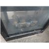 Image 2 : Black Trim Glass Door 3 Sided Fireplace w/Gas Logs