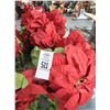 Image 2 : 8- Weighted Pedestal 3' Silk Poinsettias - 8 X $
