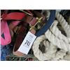Image 2 : Halters and Rope - 5th Shelf