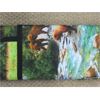 Image 2 : 7.5 M of New 100% Cotton Fabric - 44" Wide