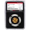 Image 1 : Lot of Colorado Gold Nuggets 3.00 Grams Total Weight NGC Vaultbox Unvaulted