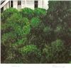 Image 2 : William Schlesinger (1915-2011) "Hillhouse" Limited Edition Serigraph on Paper