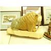 Image 3 : Outstanding soapstone walrus by Michael Scott - stock #593 F (2)