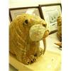 Image 5 : Outstanding soapstone walrus by Michael Scott - stock #593 F (2)