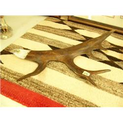 Caribou Horn, 19 inches long, carved Eagle head, by Bob Mary (2)